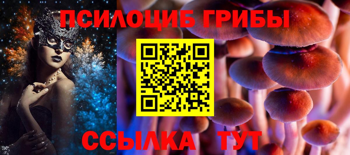 Псилоцибиновые грибы прущие грибы Горно-Алтайск