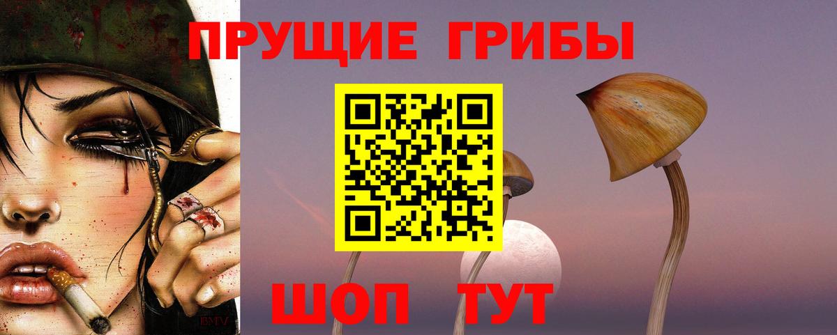 Галлюциногенные грибы GOLDEN TEACHER  Галлюциногенные грибы MAGIC MUSHROOMS  Вход с VPN  Горно-Алтайск 